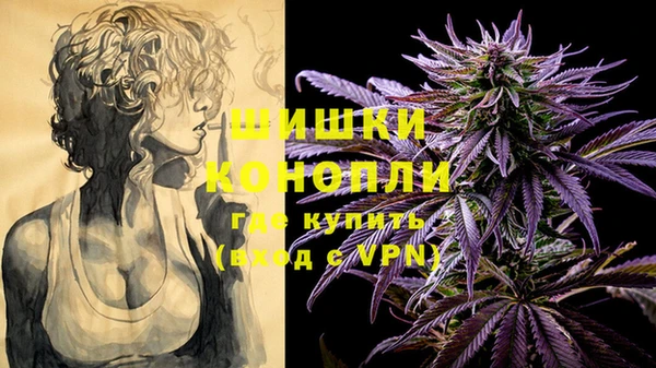 МДПВ Верея